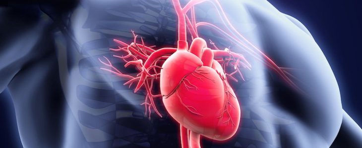 cara mengobati penyakit jantung
